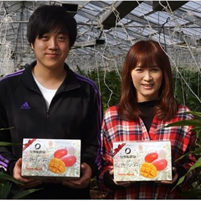 宮野原農園【2Lサイズ3個入】宮崎県西都市産完熟マンゴー　スターズマンゴー【先行受付】[2904]