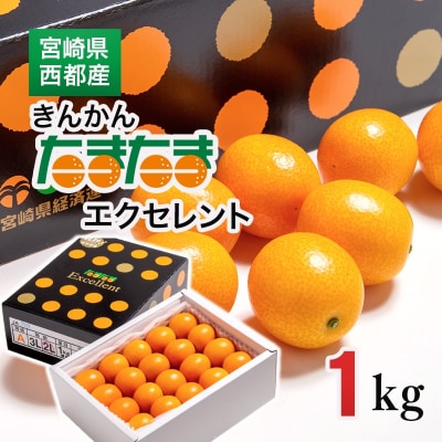 【先行受付】宮崎県西都市産　きんかんたまたまエクセレント1kg[2247]