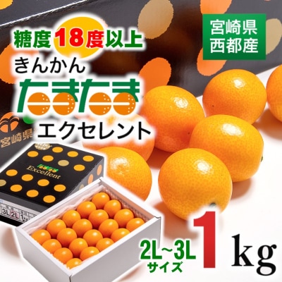 糖度18度以上!完熟きんかんたまたまエクセレント1kg宮崎県西都市産【先行受付】[2247]