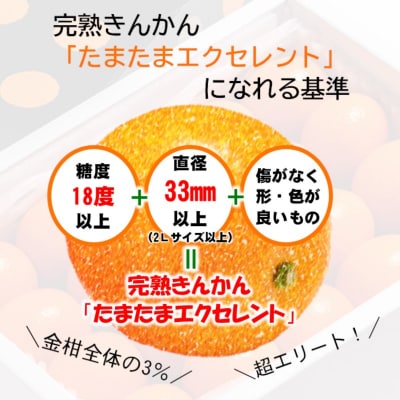 糖度18度以上!完熟きんかんたまたまエクセレント1kg宮崎県西都市産【先行受付】[2247]