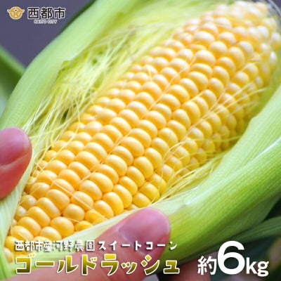 【先行受付】西都市産 河野農園 スイートコーン『ゴールドラッシュ』約6kg[1180]