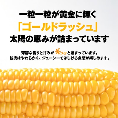 【先行受付】西都市産 河野農園 スイートコーン『ゴールドラッシュ』約6kg[1180]