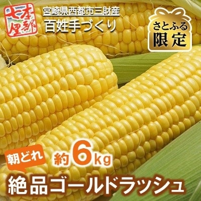 朝採れとうもろこし【本部七厘本舗】絶品ゴールドラッシュ　約6kg【先行受付】[1294]