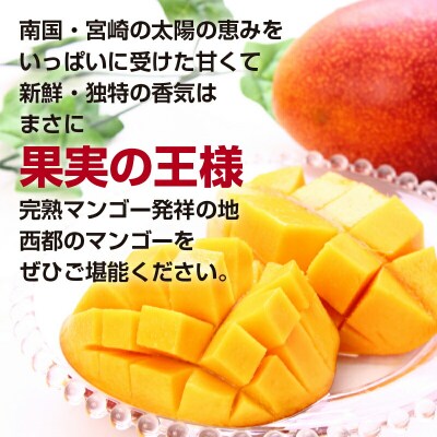 宮崎完熟マンゴー3L×2個【西都市酒井農園】宮崎マンゴー先行受付[3102]