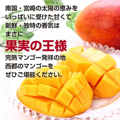 宮崎完熟マンゴー3L×2個【西都市酒井農園】宮崎マンゴー先行受付[3102]