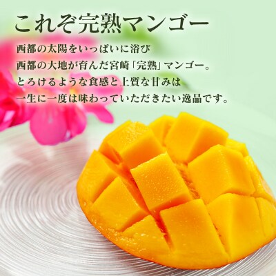 宮崎完熟マンゴー3L×2個【西都市酒井農園】宮崎マンゴー先行受付[3102]