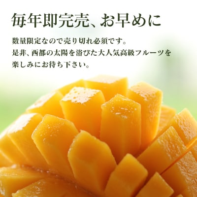 宮崎完熟マンゴー3L×2個【西都市酒井農園】宮崎マンゴー先行受付[3102]