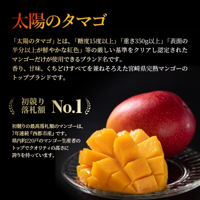 西都産完熟マンゴー「太陽のタマゴ」糖度15度以上(JA西都)【先行受付】[1010]