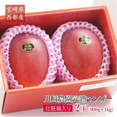 宮崎完熟マンゴー2玉「川崎農園」西都市産生産者直送【先行受付】[3069]