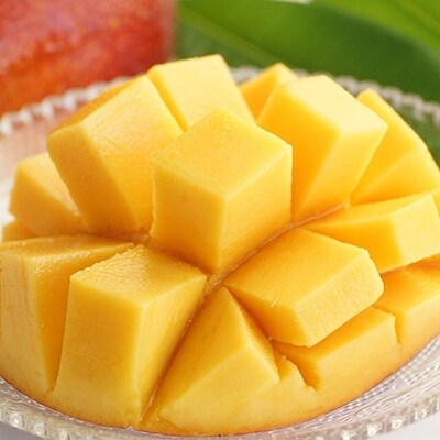 宮崎完熟マンゴー2玉「川崎農園」西都市産生産者直送【先行受付】[3069]