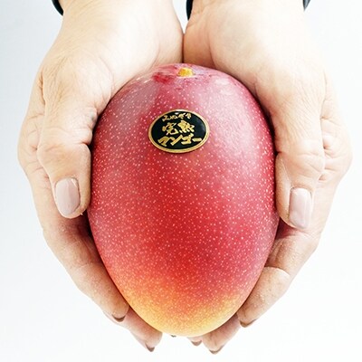 宮崎完熟マンゴー2玉「川崎農園」西都市産生産者直送【先行受付】[3069]