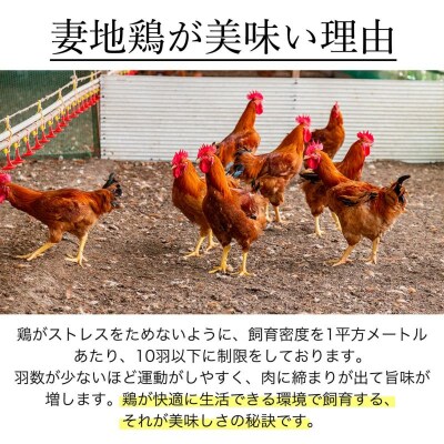 妻地鶏めしの素詰合せ3合分×10個　混ぜご飯45[2798]