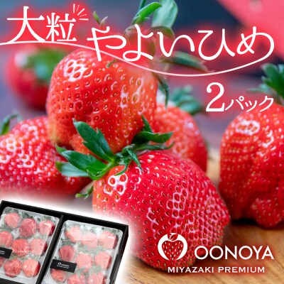 【先行受付】厳選大粒高級いちご「やよいひめ」2パック(約900g)苺大野屋[2897] 