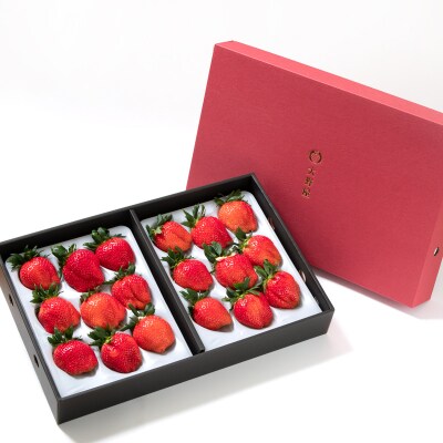 【順次発送中】厳選大粒高級いちご「やよいひめ」2パック(約900g)苺大野屋[2897] 