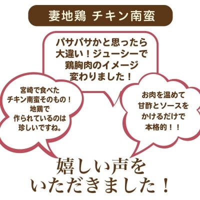 妻地鶏『チキン南蛮』詰合せ8パック[1492]