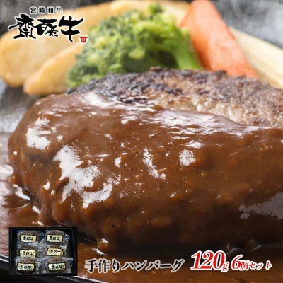 宮崎和牛「齋藤牛」手作りハンバーグセット(120g×6個)[2249]