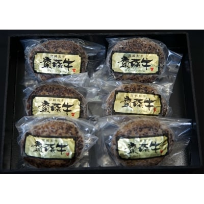 宮崎和牛「齋藤牛」手作りハンバーグセット(120g×6個)[2249]