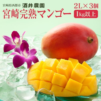 宮崎完熟マンゴー2L×3個【西都市酒井農園】宮崎マンゴー先行受付[3101]