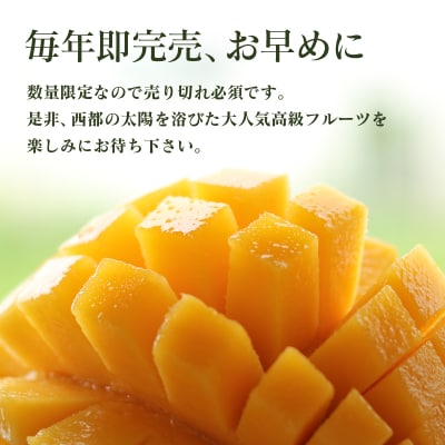宮崎完熟マンゴー2L×3個【西都市酒井農園】宮崎マンゴー先行受付[3101]