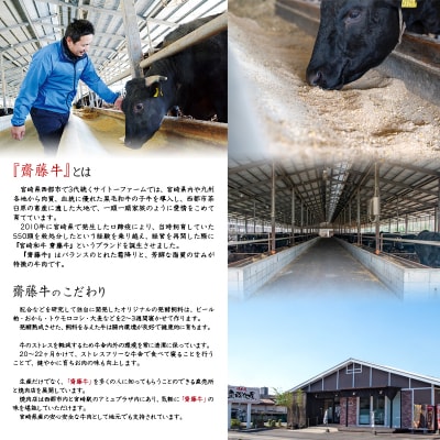 宮崎和牛「齋藤牛」ミスジステーキ100g×5枚　[2257] 