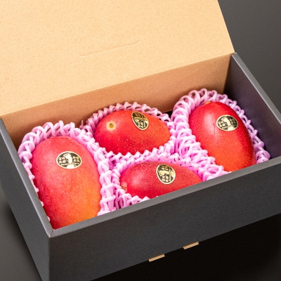 【先行受付】西都市産完熟マンゴー約1.2kg(3～5玉)[訳あり]鉢植栽培[2917]