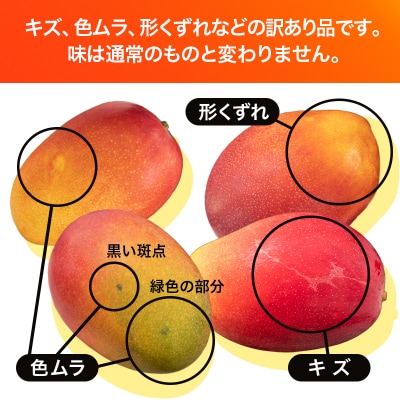 【先行受付】西都市産完熟マンゴー約1.2kg(3～5玉)[訳あり]鉢植栽培[2917]