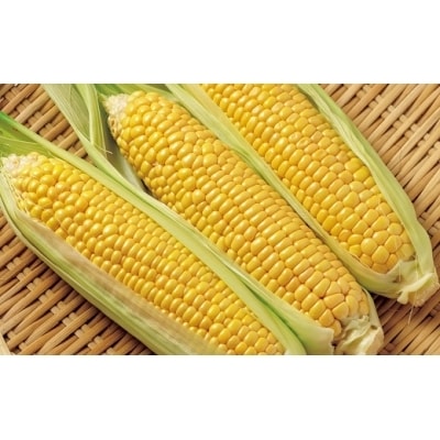 スイートコーン6kgとスイートコーンドレッシングセット【先行受付】[2744]