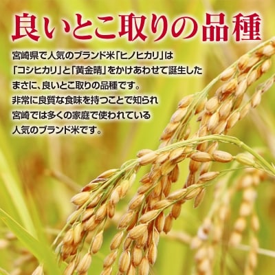 令和5年産新米ヒノヒカリ無洗米5kg×2袋　宮崎県西都産[1116]