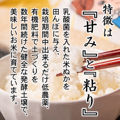 新米発送中】令和6年産コシヒカリ5kg×2袋新米伊東マンショ米