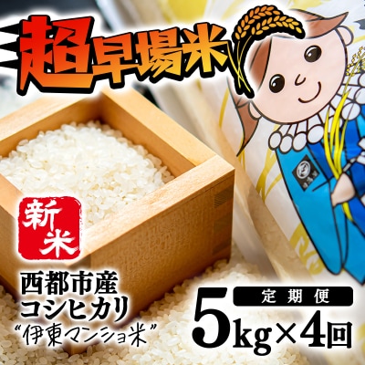 【新米定期便4回】令和6年産新米コシヒカリ5kg×4回「伊東マンショ米」[2638] 