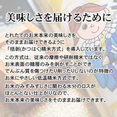 【新米定期便4回】令和6年産新米コシヒカリ5kg×4回「伊東マンショ米」[2638] 