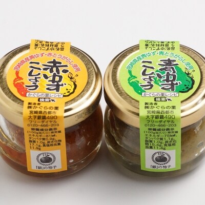 西都からの贈り物～鶏の炭火焼き・ハンバーグセット[1015]