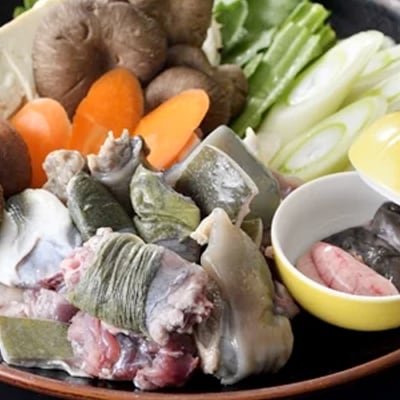 西都市ブランドすっぽん【ゆずすっぽん】すっぽん鍋セット(4～5人前)国産【先行受付】[1018]