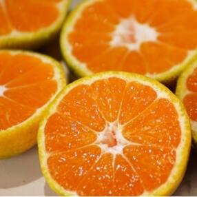 宮崎県 果物 フルーツ 人気特産品おすすめランキング 週間 ふるさと納税サイト さとふる