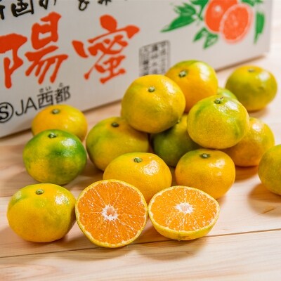 極早生みかん 南国の陽蜜 5kg 宮崎県西都産 先行予約 1707 お礼品詳細 ふるさと納税なら さとふる