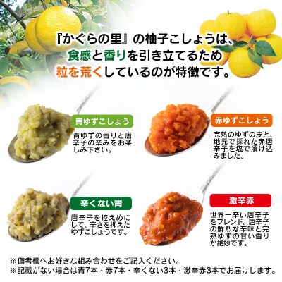 ゆずこしょう20g4種(合計20個)かぐらの里宮崎県西都市産[2739]