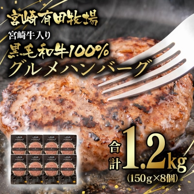 合計1.2kg!宮崎牛入り!宮崎県産黒毛和牛100%グルメハンバーグ150g×8[2823]