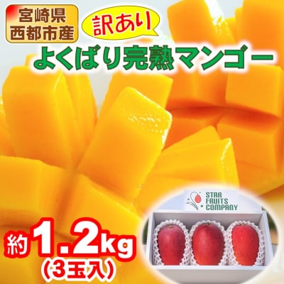 3玉(約1.2kg)宮崎県産よくばり完熟マンゴー【先行受付】[2352]