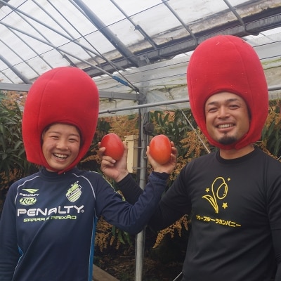 3玉(約1.2kg)宮崎県産よくばり完熟マンゴー【先行受付】[2906]