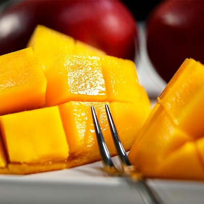 【先行受付】薗田農園　西都市産　完熟マンゴー　2玉入り[2961]