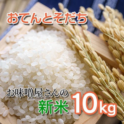 新米令和6年産お味噌屋さんのお米『おてんとそだち』10kg[【先行受付】[2355]