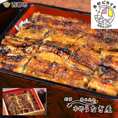 嘉永元年創業『本部うなぎ屋』鰻の蒲焼き(カット)[3107]