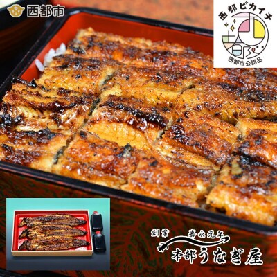 嘉永元年創業『本部うなぎ屋』鰻の蒲焼(3尾)[3108]