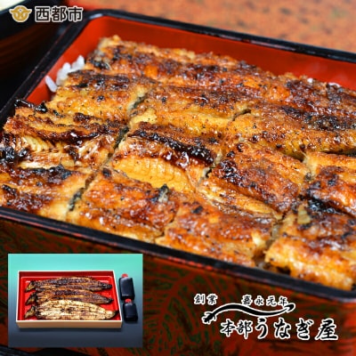 嘉永元年創業『本部うなぎ屋』鰻の蒲焼きと白焼きセット(計3尾)[3109]