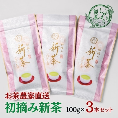 【新茶】お茶農家直送　初摘み新茶3本セット　さえみどり【先行受付】[3165]