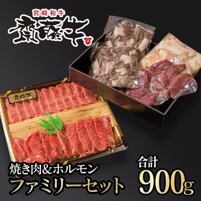 宮崎和牛 齋藤牛 【計約900g】焼肉&ホルモン ファミリーセット[2254]
