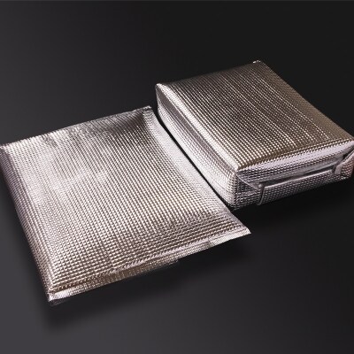 宮崎和牛 齋藤牛 【計約900g】焼肉&ホルモン ファミリーセット[2254]