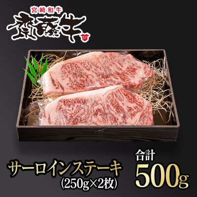 宮崎和牛 齋藤牛 サーロインステーキ250g×2枚 500g[2260]