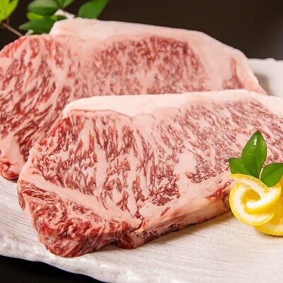 宮崎和牛 齋藤牛 サーロインステーキ250g×2枚 500g[2260]