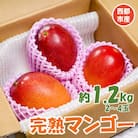 【約1.2kg】西都市産完熟マンゴー2～4玉[訳あり]【先行受付】さとふる限定[2966]